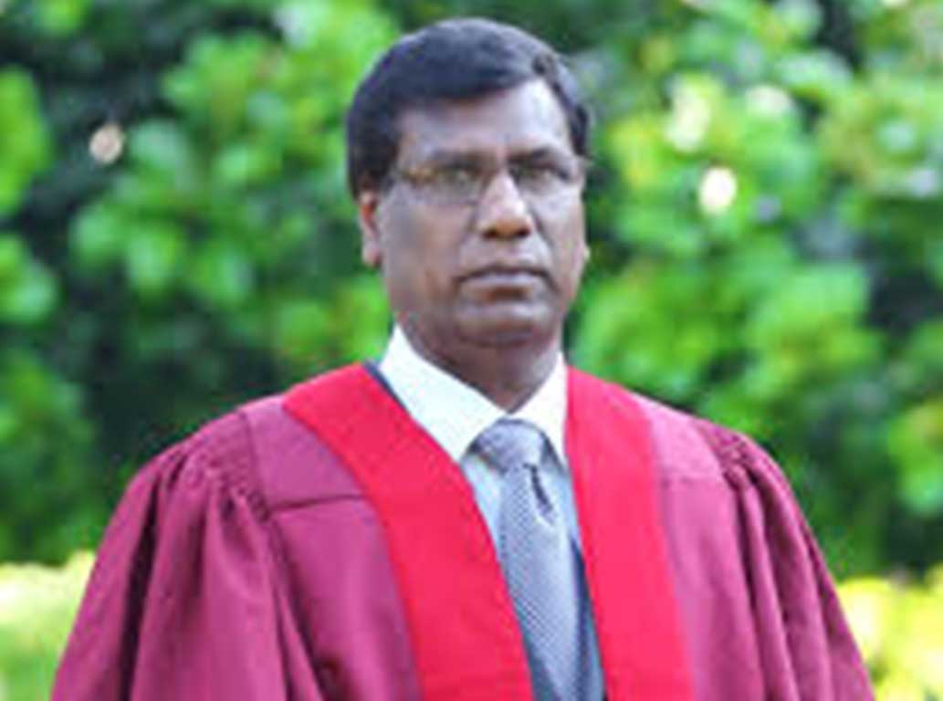 Saegis: Department of Management